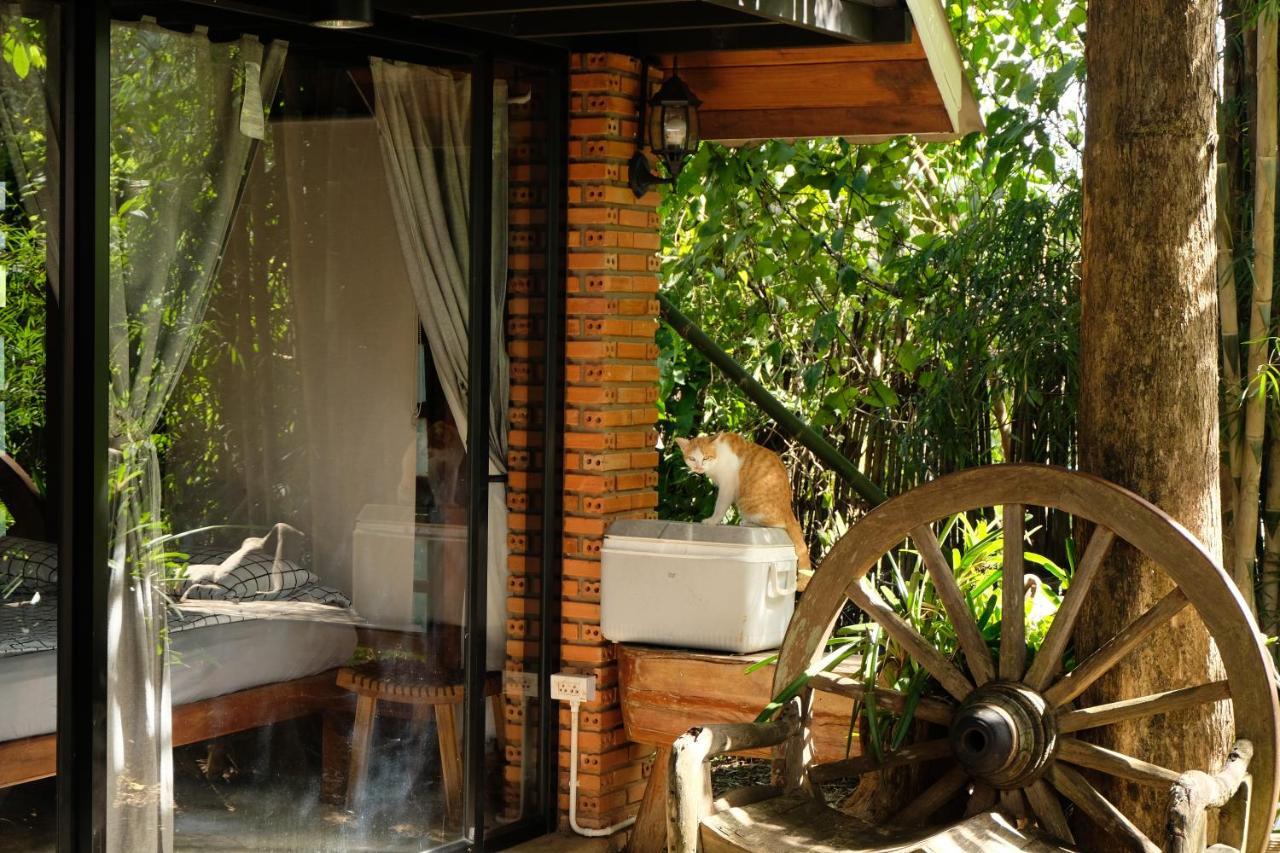 Ashi Guesthouse Chiangdao Chiang Dao Exterior foto